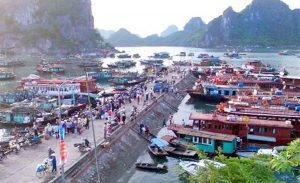 tàu-gỗ-ở-cảng-cái-rồng